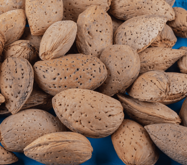 Badam Abdulwahdi (Almond Abdulwahdi with shell)