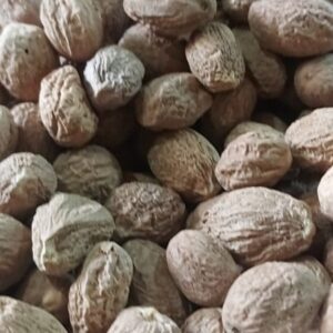 Jaifal (Nutmeg)