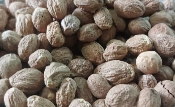 Jaifal (Nutmeg)