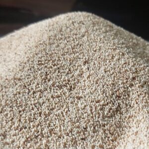 Khashkhas (Poppy Seeds)