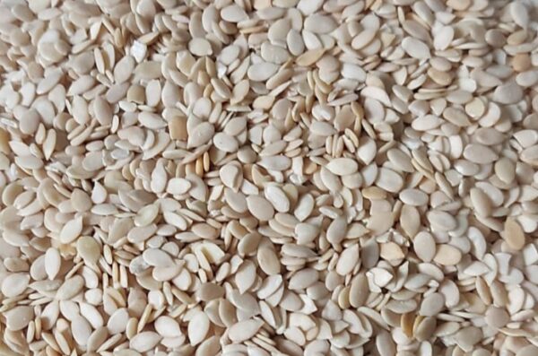 Magaz Tarbooz (Watermelon Seeds)