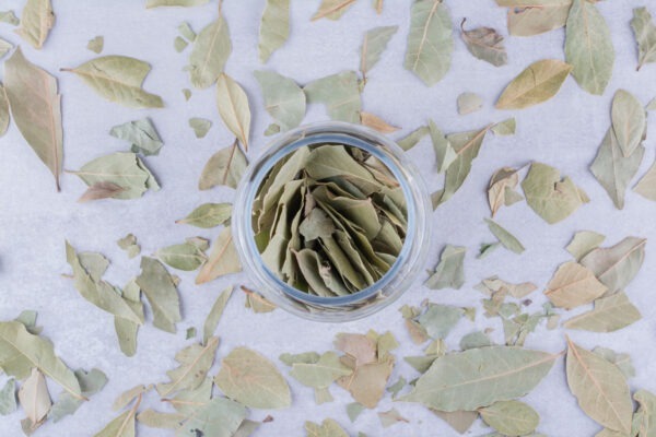 Tez Pata (Bay Leaf)
