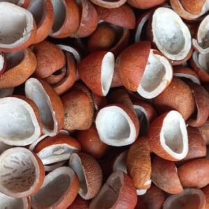 Khopra Giri (Coconut)