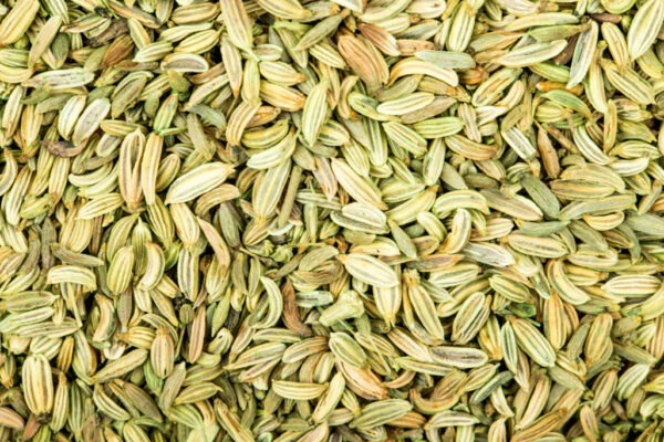 Saunf Moti ( Fennel Big)
