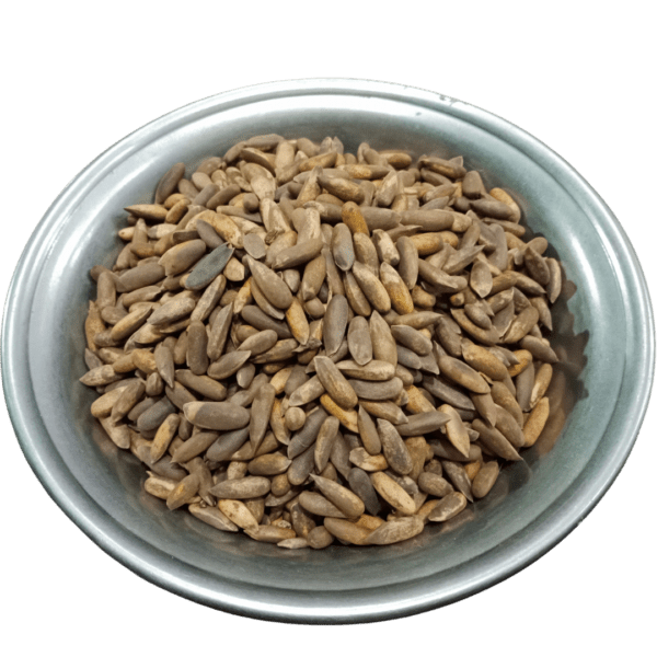 Chilgoza Sabat (Pine Nuts in Shell) - Image 2